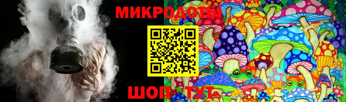 Псилоцибиновые грибы Psilocybe Борзя